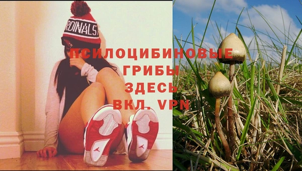 мяу мяу кристалл Балахна